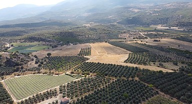 Karaman "Yeşil Altın" sıralamasında listeye girdi