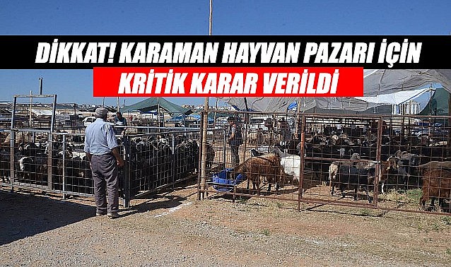 Dikkat! Karaman hayvan pazarı için kritik karar verildi