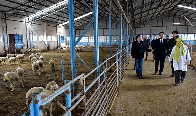 KOP Türkiye&#039;nin yününe sahip çıkıyor