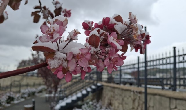 Beypazarı&#039;nda kar yağışı etkili oldu