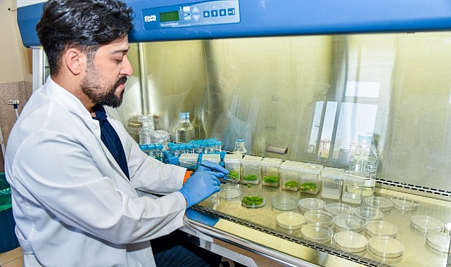 Bilim ve doğa el ele