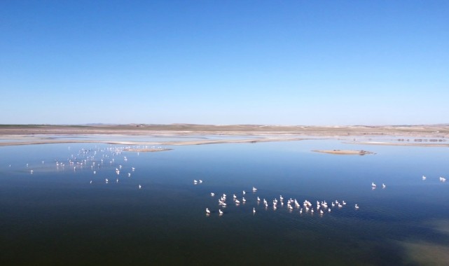 Eskişehir&#039;deki Kavuncu Göleti&#039;nin doğal sit alanı olması için çalışılıyor