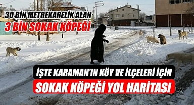 İşte Karaman'ın sokak köpeği yol haritası