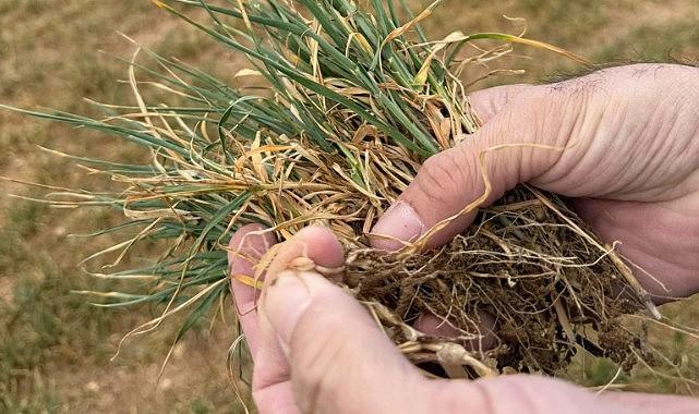 Karaman çiftçisi zor günler geçiriyor