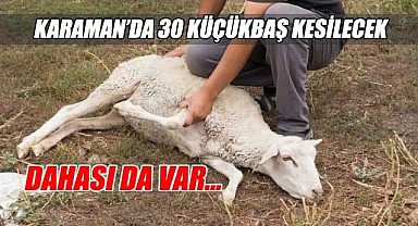 Karaman'da 30 küçükbaş hayvan kesilecek
