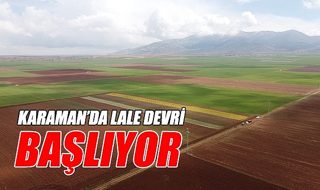 Karaman&#039;da lale devri başlıyor