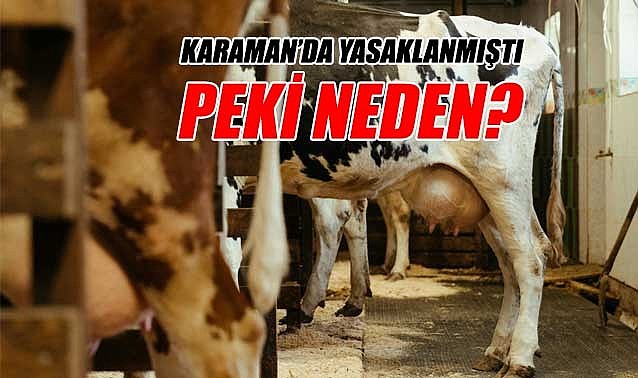 Karaman&#039;da neden yasaklandı