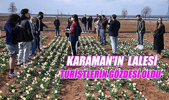 Karaman&#039;ın lalesi turistlerin gözdesi oldu