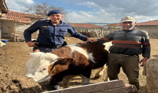 Kırşehir&#039;de kaybolan büyükbaş hayvan jandarma tarafından bulundu