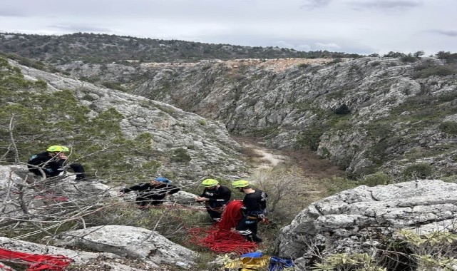 Konya&#039;da kaybolan keçilerden 20&#039;si kurtların saldırısı sonucu telef oldu