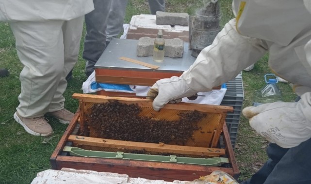 Şarkışla&#039;da arıcılık kursu açıldı