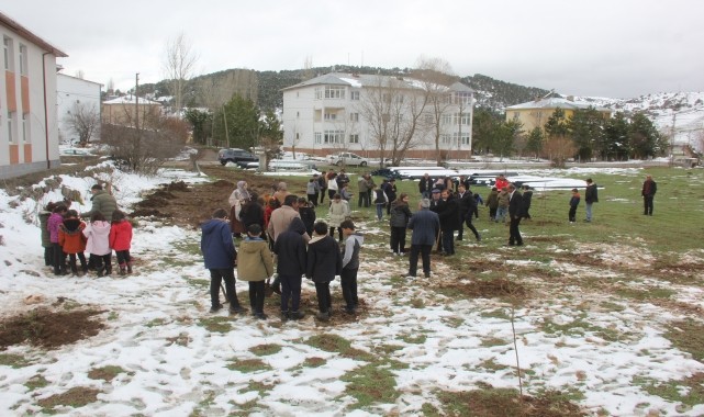 Zara&#039;da kayısı bahçesi kuruldu