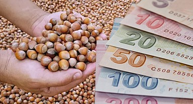 30 Mayıs İl İl Fındık Fiyatları!  