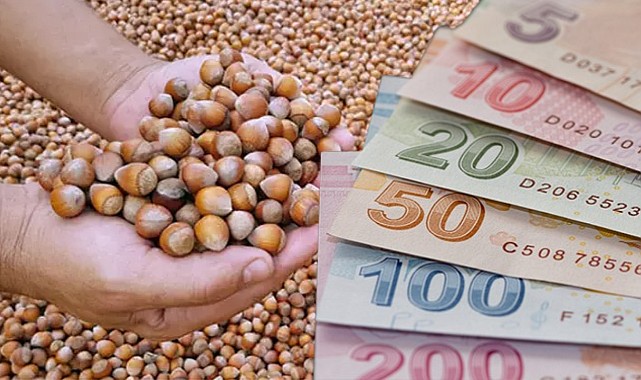 30 Mayıs İl İl Fındık Fiyatları!  