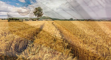 Bakanlıktan Çiftçilere 18 Bin TL Destek!  