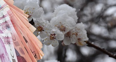 Bayram Öncesi Çiftçiye 1,1 Milyar TL Zirai Don Desteği!  