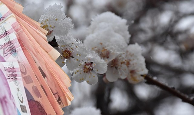 Bayram Öncesi Çiftçiye 1,1 Milyar TL Zirai Don Desteği!  