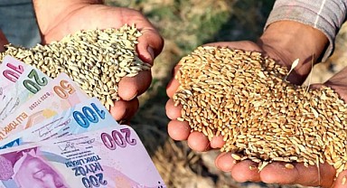 Buğday ve Arpaya İndirim, Yulafa Zam Geldi! İşte Güncel Hububat Fiyatları!  