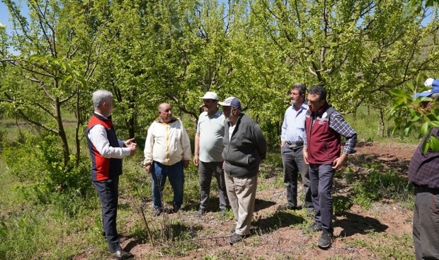 Çankırı&#039;da zirai dondan etkilenen arazilerde incelemelerde bulunuldu