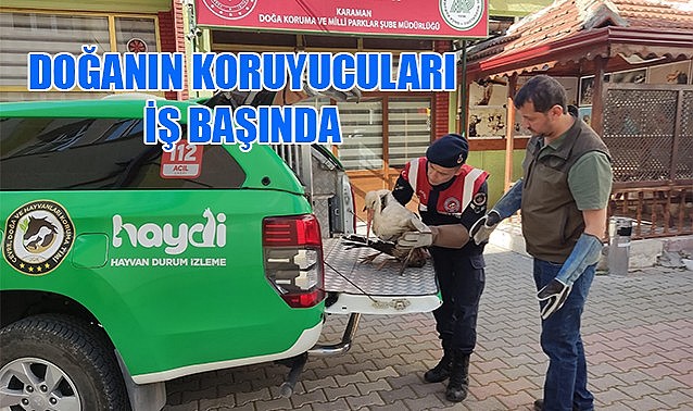Doğanın koruyucuları iş başında