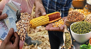 Hububat, Baklagil ve Dane Mısır Fark Ödemesi Desteği IBAN’a Yatacak!  