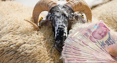 İl İl Kurbanlık Fiyatları: İstanbul, Ankara, İzmir, Kocaeli, Adana, Şanlıurfa, Erzurum! 