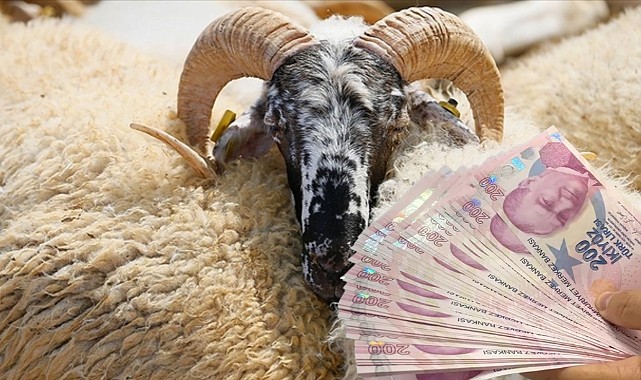 İl İl Kurbanlık Fiyatları: İstanbul, Ankara, İzmir, Kocaeli, Adana, Şanlıurfa, Erzurum! 