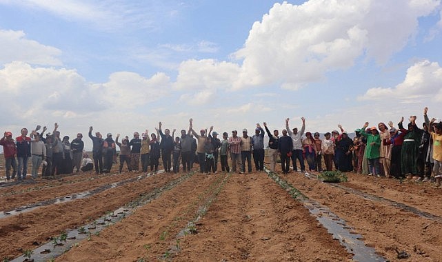Karaman tarımına saha desteği