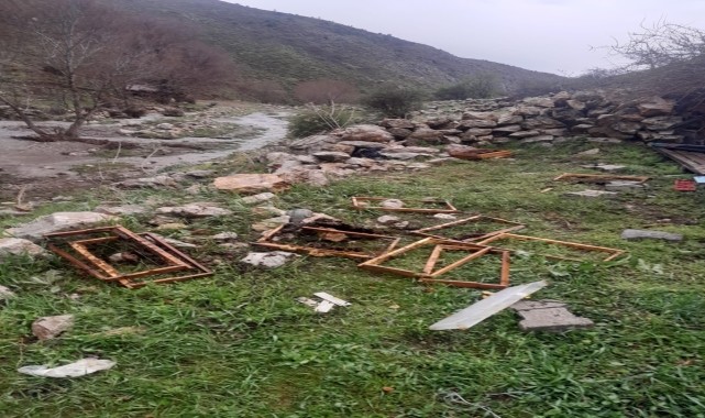 Kayseri&#039;de ayılar arı kovanlarına zarar verdi