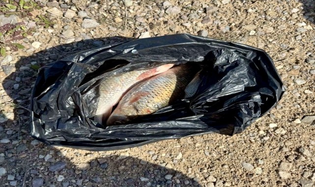 Kırşehir&#039;de kaçak balık avlayanlara idari işlem yapıldı