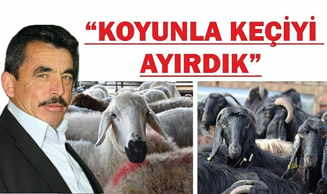 &quot;Koyunla Keçiyi Ayırdık&quot;