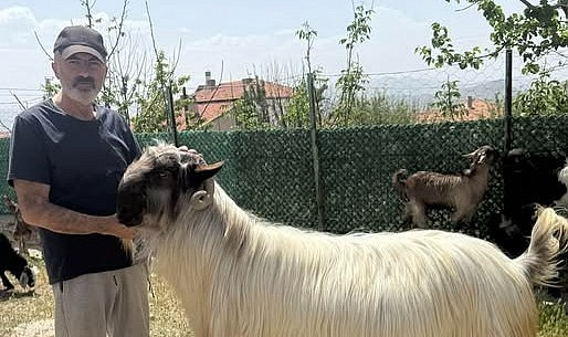 &quot;Kurban bağışı yurt dışına gitmesin&quot;