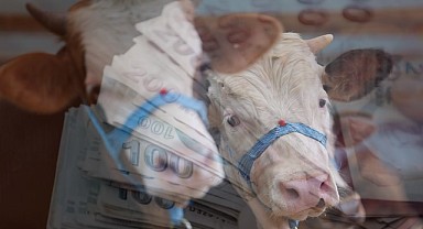 Kurban Fiyatlarına Zam Geldi, Satışlar Resmen Sıfırlandı!