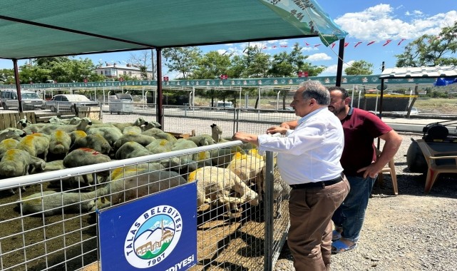 Talas'ta kurban pazarına başvurular başladı