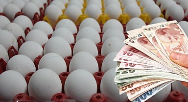 Yumurta Fiyatlarına Bayram İndirimi! Yüzde 50 Düştü!  