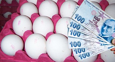Yumurtaya Yüzde 50’den Fazla İndirim Geldi!  