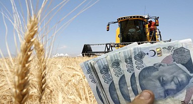 2025 Hububat Hasadı Başladı! 