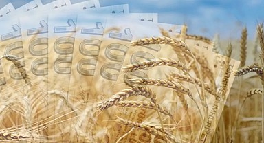 2025 TMO Hububat Alım Fiyatları! Çiftçiye Para Yardımı Yapılacak! 