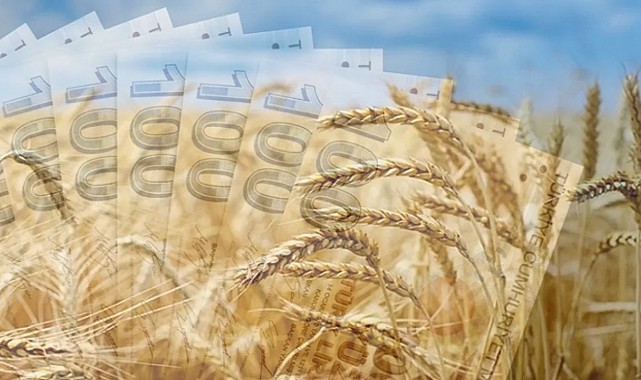 2025 TMO Hububat Alım Fiyatları! Çiftçiye Para Yardımı Yapılacak! 