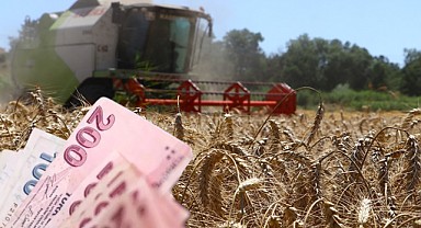Arpa Hasadı Başladı! Bir Dönümden Kaç Kilo Arpa Alınıyor? 
