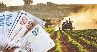 Bakanlıktan Temel Gelir Desteği, Planlı Üretim Desteği ve Sertifikalı Tohum Kullanımı Desteği!