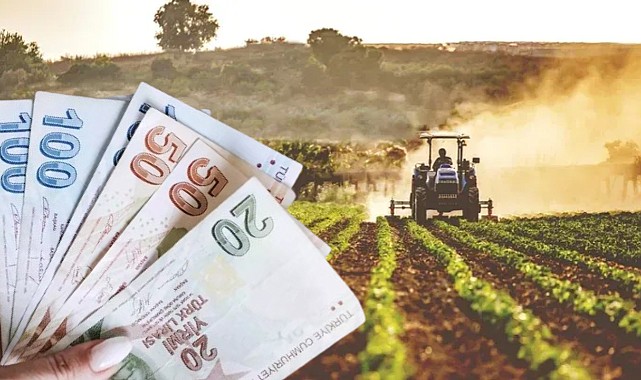 Bakanlıktan Temel Gelir Desteği, Planlı Üretim Desteği ve Sertifikalı Tohum Kullanımı Desteği!