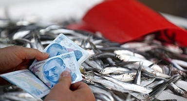 Balığa Yüzde 90 İndirim! İşte İndirimli Fiyatlar! 