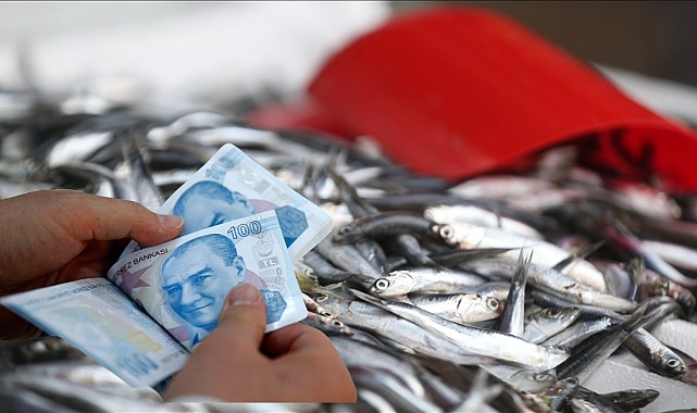 Balığa Yüzde 90 İndirim! İşte İndirimli Fiyatlar! 