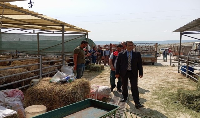 Beypazarı Kaymakamı Yılmaz, hayvan pazarını inceledi