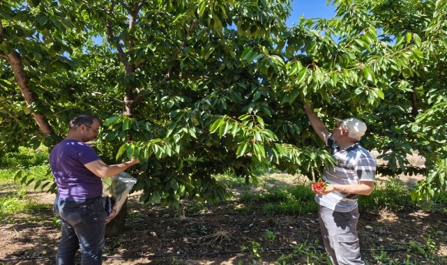 Beyşehir&#039;den kısa kısa