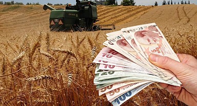 Buğday Hasadı Ücretleri 2025!  