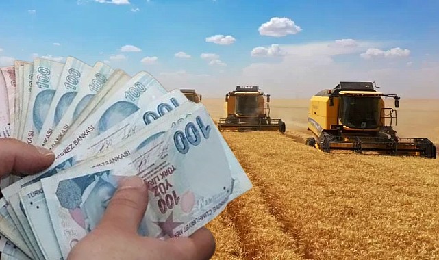 Buğdaya Zam Geldi! İşte Güncel Hububat Fiyatları! 