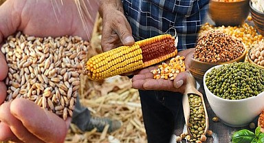 Çiftçiye Hububat, Baklagil, Mısır, Gübre ve Organik Tarım Desteği! 