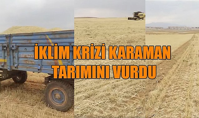 İklim krizi Karaman tarımını vurdu